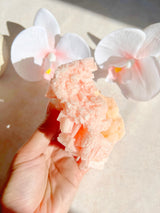 Pink Halite Cluster