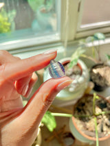 Mini Fluorite Turtles