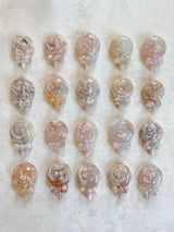 Flower Agate Lollipop