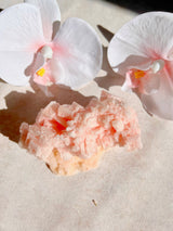 Pink Halite Cluster